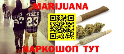 крисы Малгобек