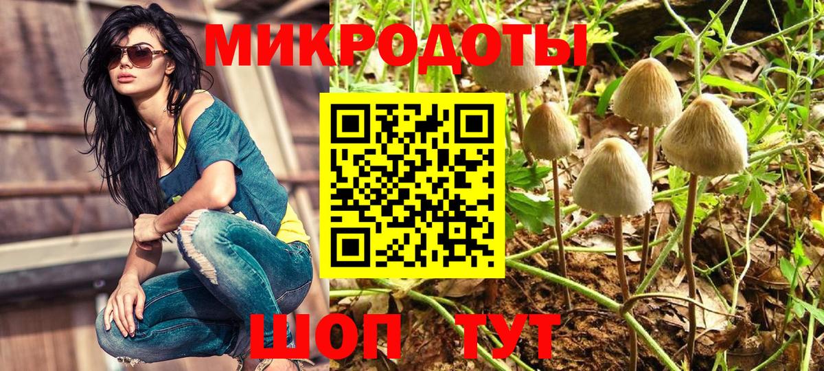 Галлюциногенные грибы ЛСД  Галлюциногенные грибы GOLDEN TEACHER  Вход с VPN  Чебоксары 